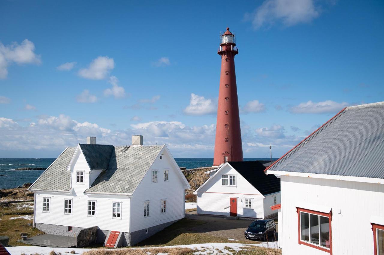 201 - Whale Safari Andenes